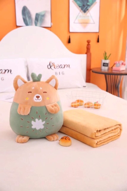 Bộ chăn và gối văn phòng hoa quả mẫu mới nhất( có ảnh chụp thật)