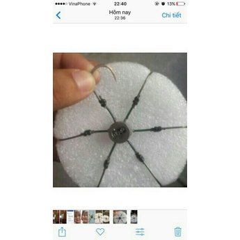 Xả hàng Lưỡi câu lục