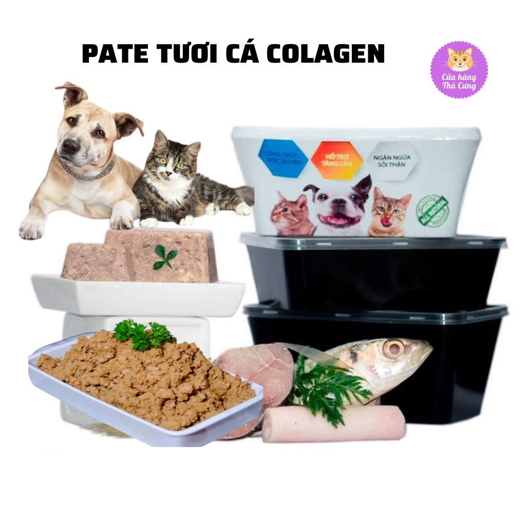 Pate Tươi The Pet Vị Cá Collagen Hộp 1Kg Giúp Chó Mèo Đẹp Da, Mượt Lông