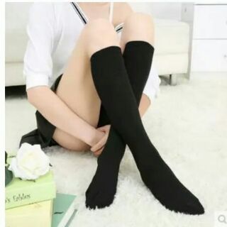 Tất gối Hàn Quốc