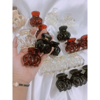 (ẢNH THẬT) KẸP TÓC CÀNG CUA THÁI LAN