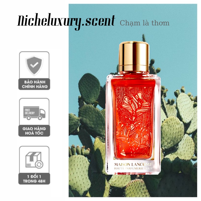 ????? - Nước Hoa Maison Lancome Roses Berberanza Edp ( Hàng Mới Về ) 10Ml