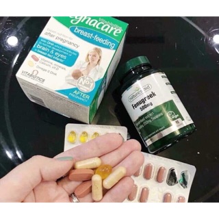 Bộ đôi lợi sữa Cỏ cari + Pregnancare Breast feeding