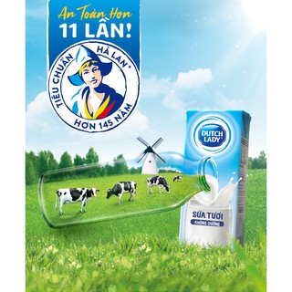 Sữa tươi Vina/Cô Gái Hà Lan 1lít (Dutch Lady/Vinamilk)