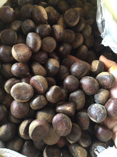 Hạt dẻ tươi trùng khánh