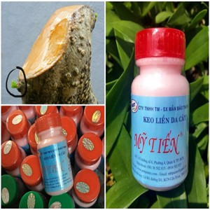 Keo liền sẹo, liền da cây mỹ tiến lọ 100g