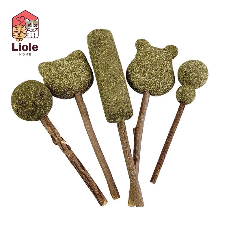 Cỏ Catnip Cho Mèo Thư Giãn