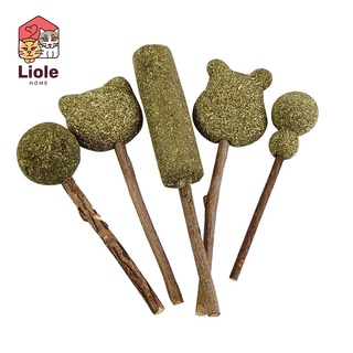 Cỏ catnip cho mèo thư giãn