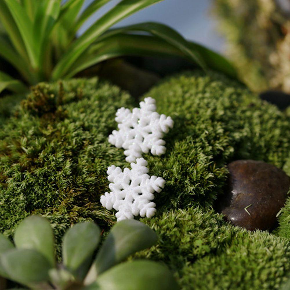 CONOPERY Bộ 10 Bông Tuyết Bằng Nhựa Dùng Trang Trí Phong Cảnh Độc Đáo