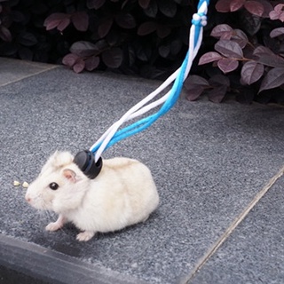 Dây dắt hamster, thỏ, Sóc , đuôi mập, chuột lang