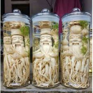 Bình Thủy Tinh 6 Lít, 12 Lít, 15 Lít, 19 Lít, 25 Lít