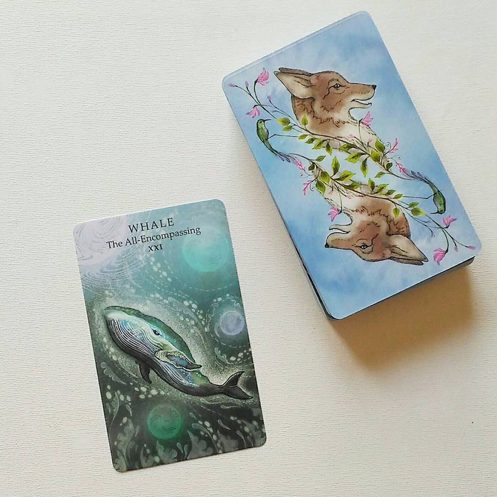 Bộ Bài Animal Wisdom Tarot (Mystic House Tarot Shop) - Bài Gốc Authentic Chính Hãng 100%