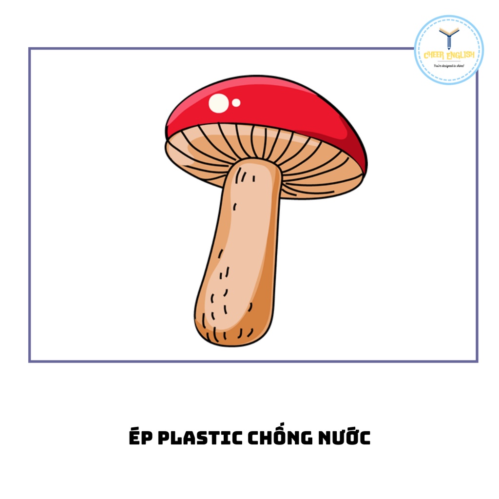 Flashcard chủ đề rau củ thẻ học từ vựng Tiếng Anh ép plastic