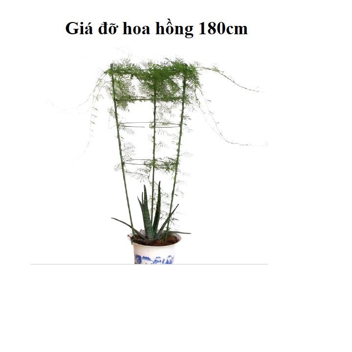 Set 3 bộ giá đỡ hoa hồng, hoa leo đa năng kích thước cao 180cm, 3 cọc đứng phi 11 và 5 vòng tròn đường kính 49 cm