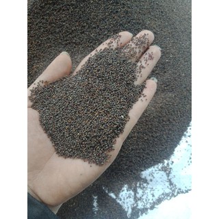 combo 2kg 150k hat man ri hoa  vang