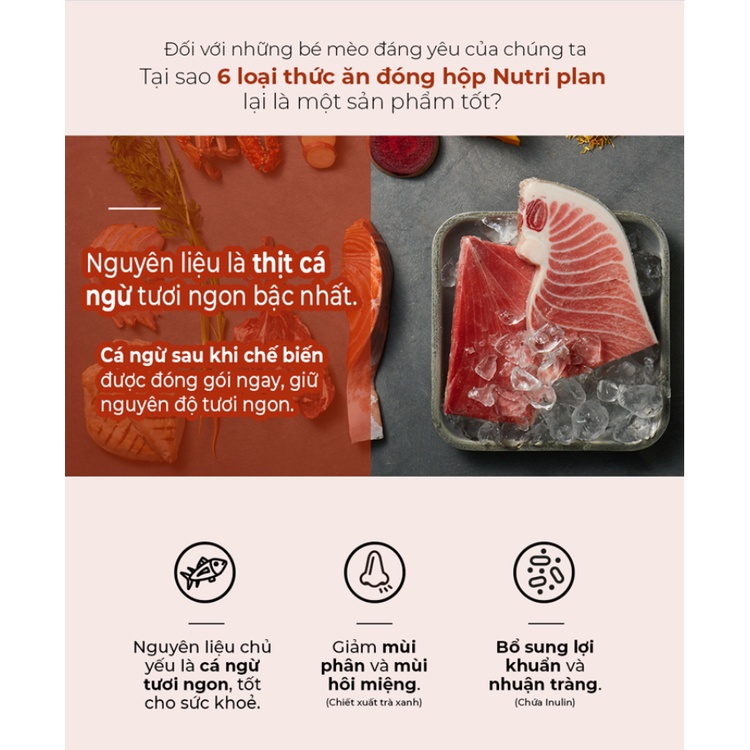 Pate hàn quốc Nutri plan cho mèo lon 160g