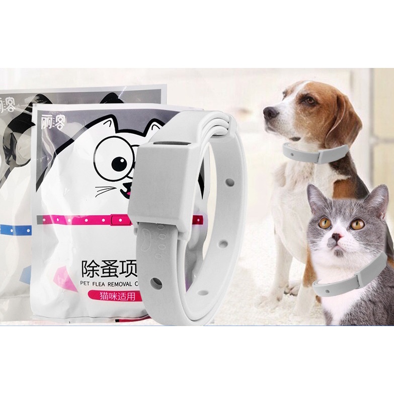 Vòng cổ ngăn ngừa ve rận cho chó mèo