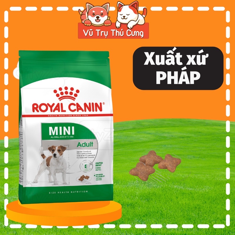 Hạt cho chó trưởng thành Royal Canin Mini Adult