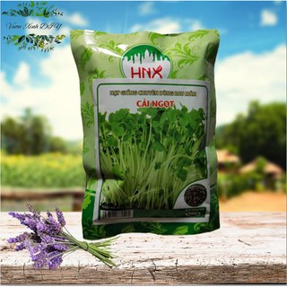 Combo 6 loại rau mầm