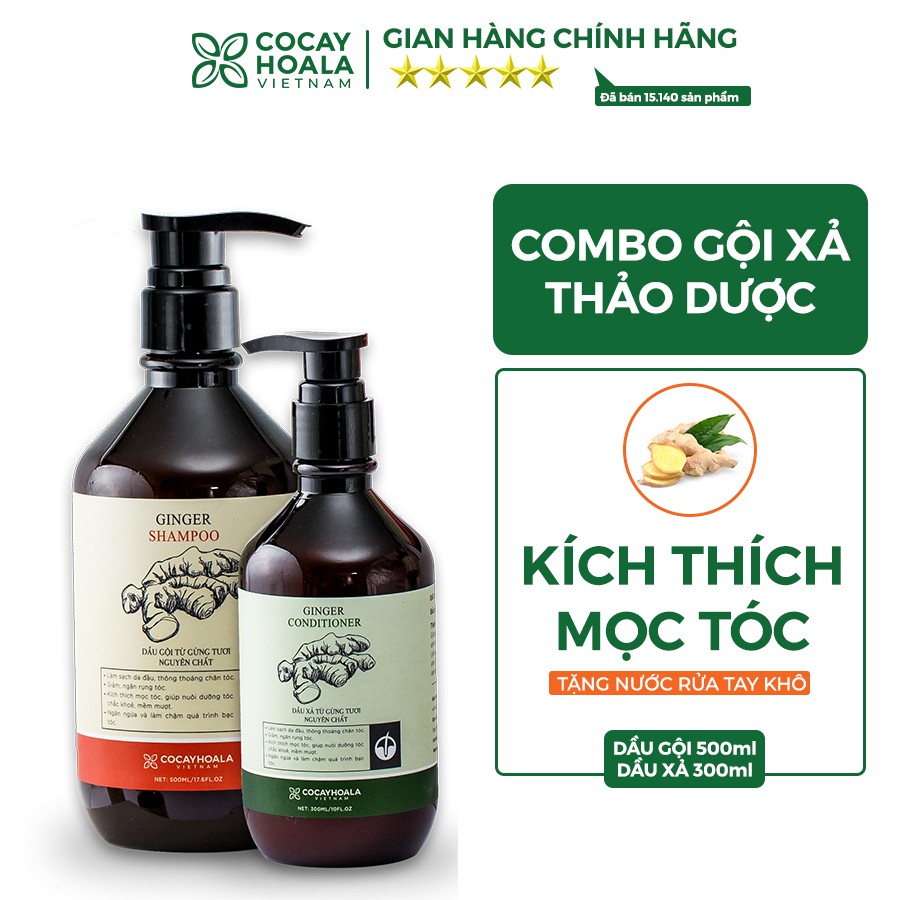 Bộ dầu gội xả gừng tươi Cocayhoala kích thích mọc tóc dầu gội 500g dầu xả 300g | BigBuy360 - bigbuy360.vn