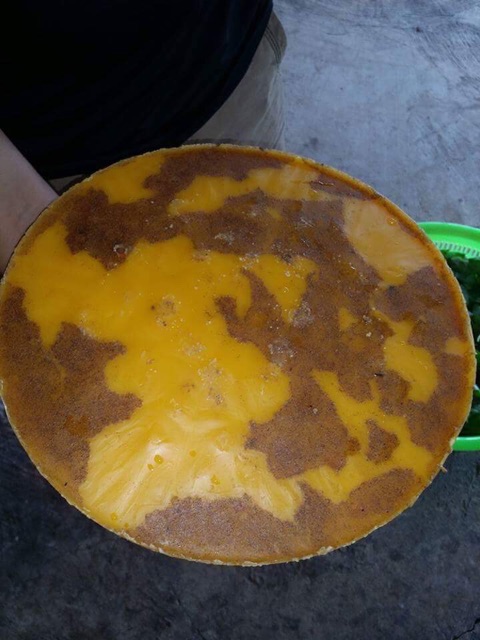 Mật ong rừng Tây Bắc | BigBuy360 - bigbuy360.vn