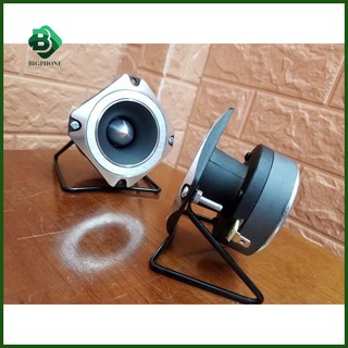 Loa treble Pioneer P8804