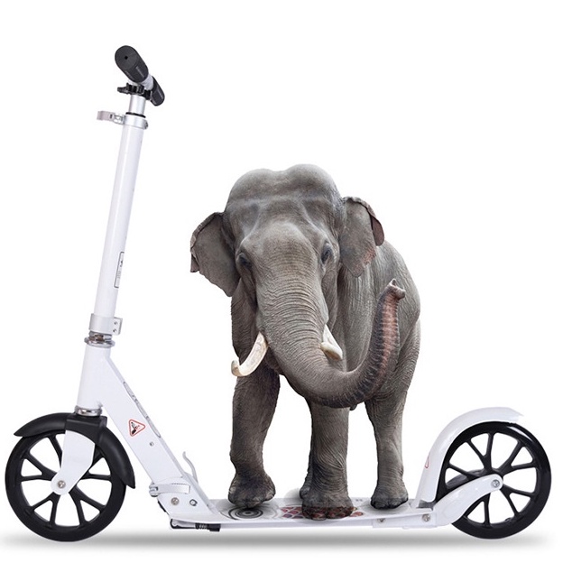 Xe trượt scooter cỡ đại chịu tải đến 150kg cho người lớn hàng cao cấp có phanh tay