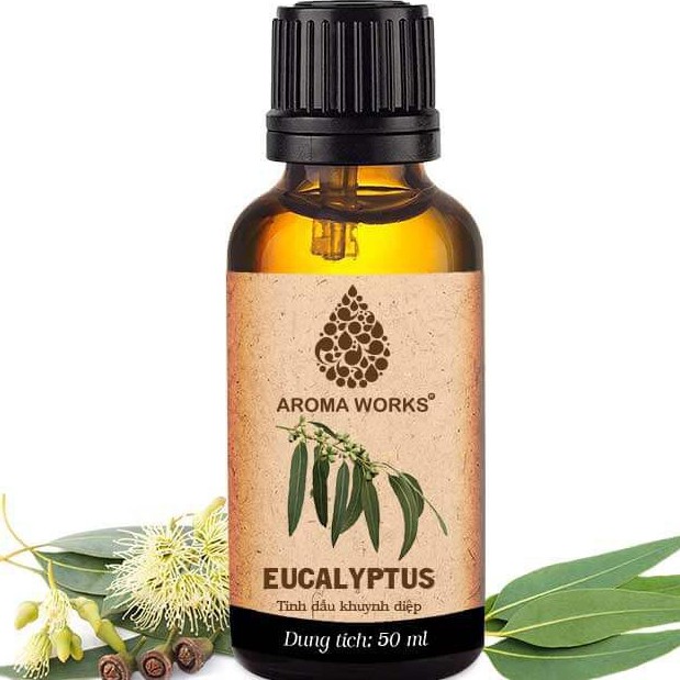 Tinh Dầu Thiên Nhiên Khuynh Diệp Aroma Works Essential Oils Eucalyptus