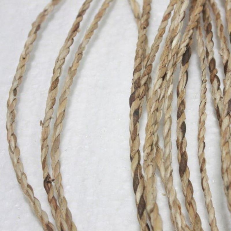 100m dây lục Bình se sợi