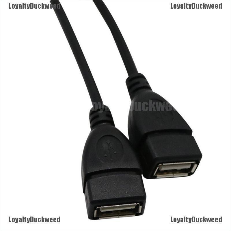 Dây cáp chuyển đổi đầu USB 2.0 sang 2 cổng chuyên dụng