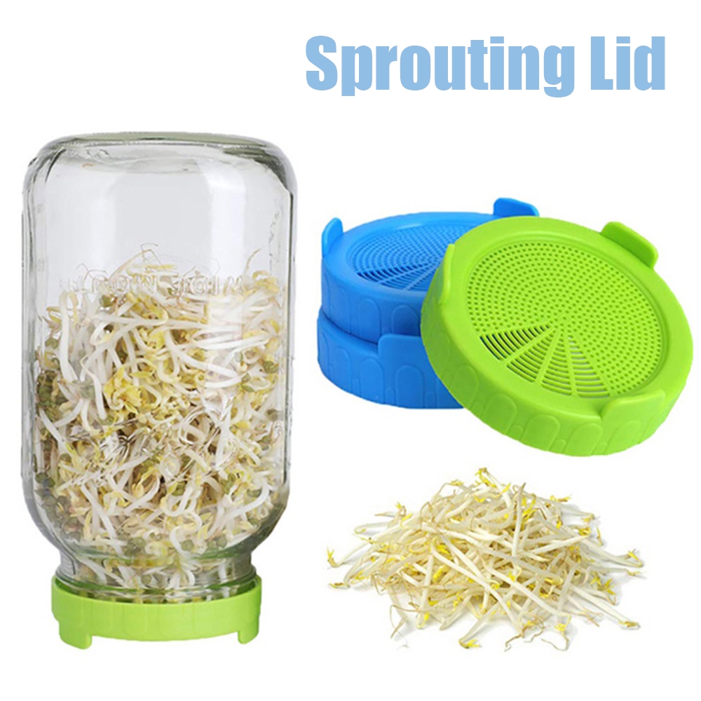 Hộp gieo mầm với nắp lưới Mason Jar chuyên dụng