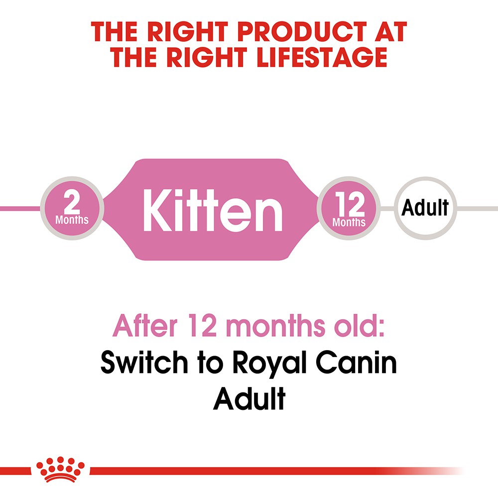 Thức Ăn Hạt Cho Mèo Royal Canin Kitten 36 I Túi 2Kg