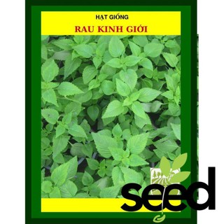 [MIỄN PHÍ SHIP] 1 Gram-  Hạt Giống Rau Kinh Giới