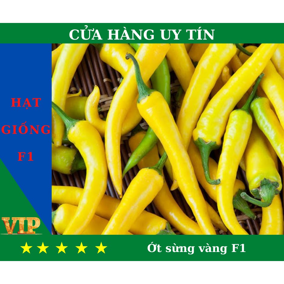 Hạt Giống Ớt sừng vàng F1 Năng Suất, Dinh Dưỡng Cao - MUA 4 TẶNG 1