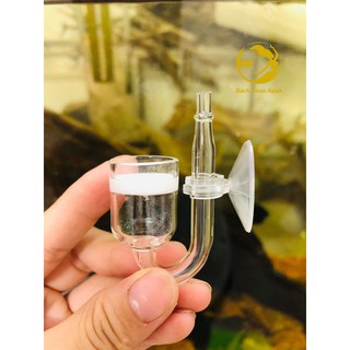 Cốc sủi Co2 thủy tinh