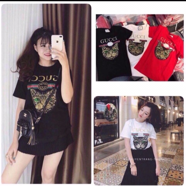 Phông mèo gucci | BigBuy360 - bigbuy360.vn
