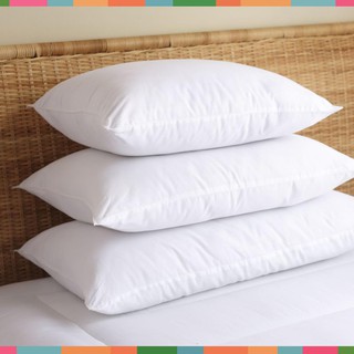 ruột gối nằm 50x70 - ruột gối nằm
