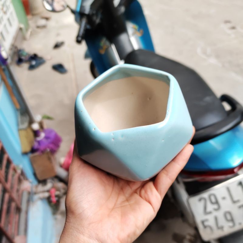Combo 10 chậu đa giác thấp