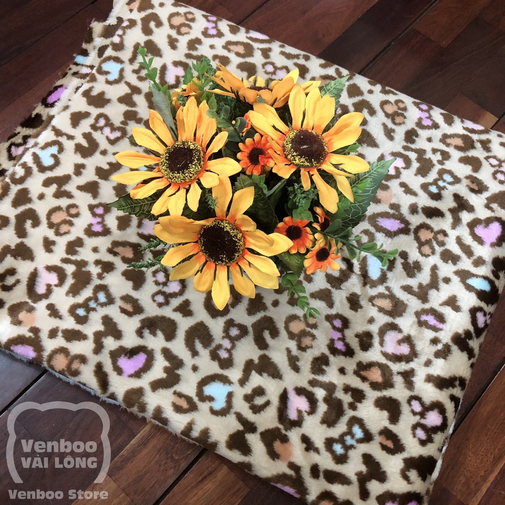 🌟 Thảm Trải Sàn Nội Thất | Decor Phòng Siêu Cutie | Beo Tim Sweety