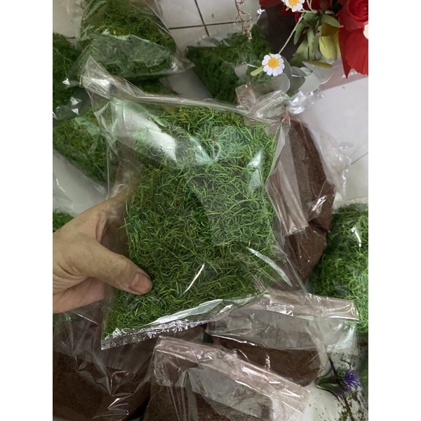 rêu sợi rêu bột màu (xanh,nâu)