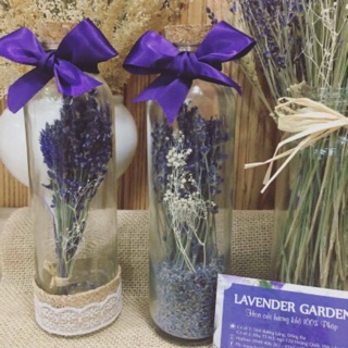 Lọ điều ước lavender size mini