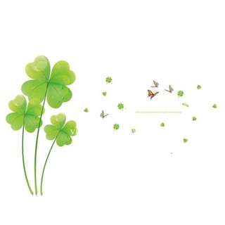 hạt giống cỏ 4 lá