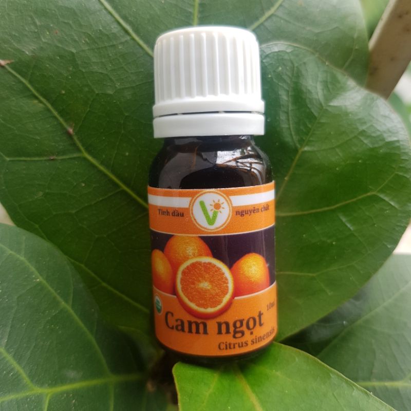 Tinh dầu hữu cơ nguyên chất Cam ngọt, Oải Hương Lavender - Nhà Vừng