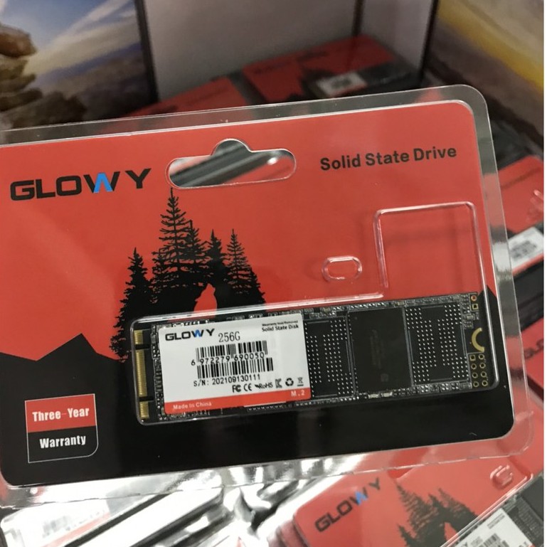 Ổ cứng SSD M2 Gloway 256GB (Sata3.0) – CHÍNH HÃNG – Bảo hành 3 năm !!!