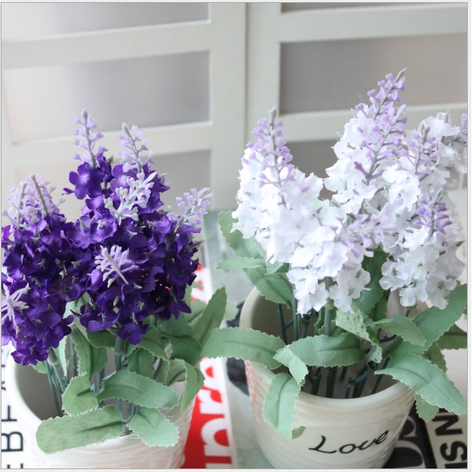 Chậu hoa lavender siêu xinh (giá cả hoa và chậu sứ)
