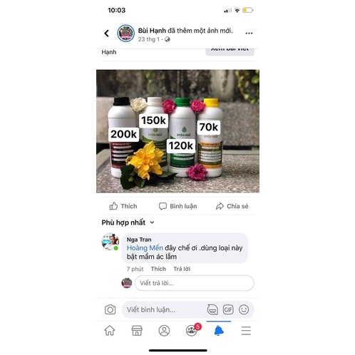 Phân chuối bón hoa Uyên Ngô