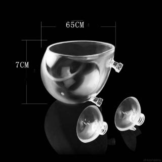 Cốc Hít Kính Trồng Cây