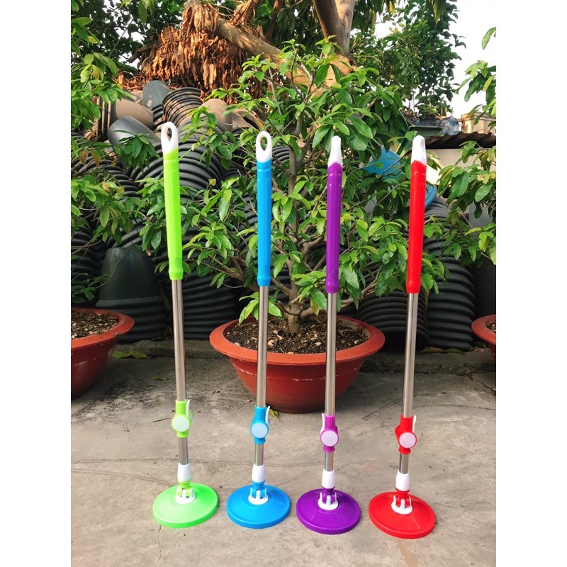CÂY LAU NHÀ NHẬP THÁI LAN