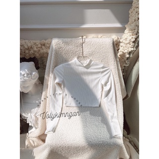 Áo croptop cổ trụ TD
