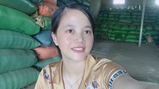 Hạt tiêu Bắc daklak
